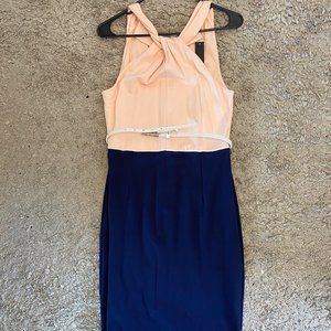 Pink & Navy Dress - Venus Size L NWT